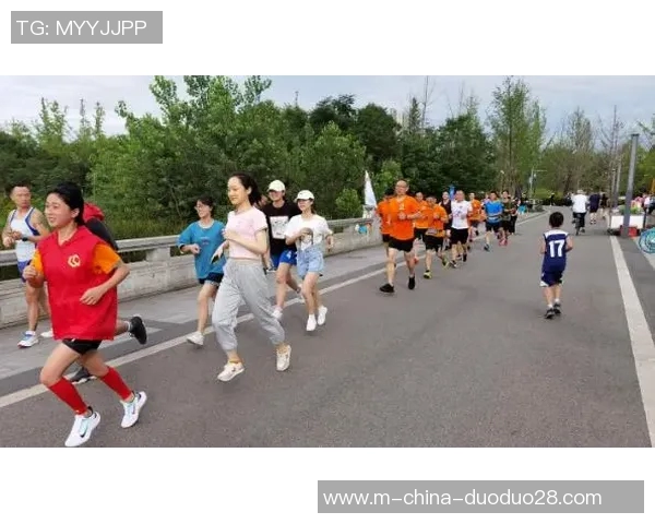 探索多样化体育用品与健身器材的魅力图片展示，助力健康生活方式